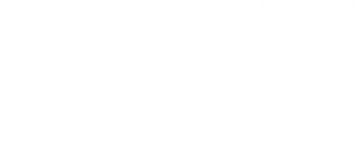HIGH FASHION more SOCIETY